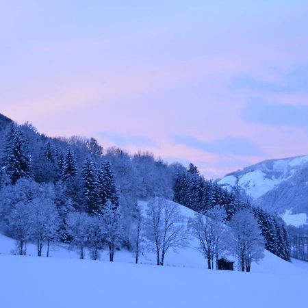 Doppelzimmer Herzogbauer Saalfelden Esterno foto